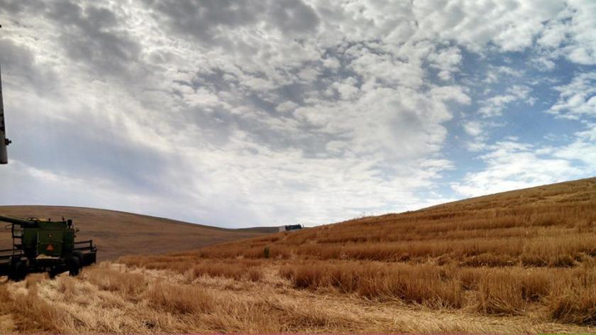 1148845_10201470073140928_370817399_n