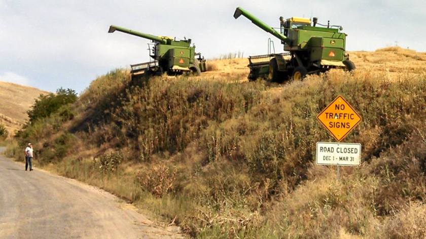 1148954_10201368316237069_1629103114_n