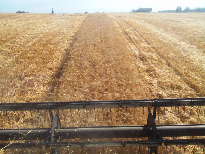 2013-08-08_17-13-50_671