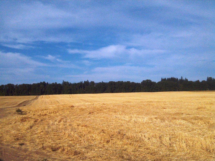 2013-08-08_18-04-00_184