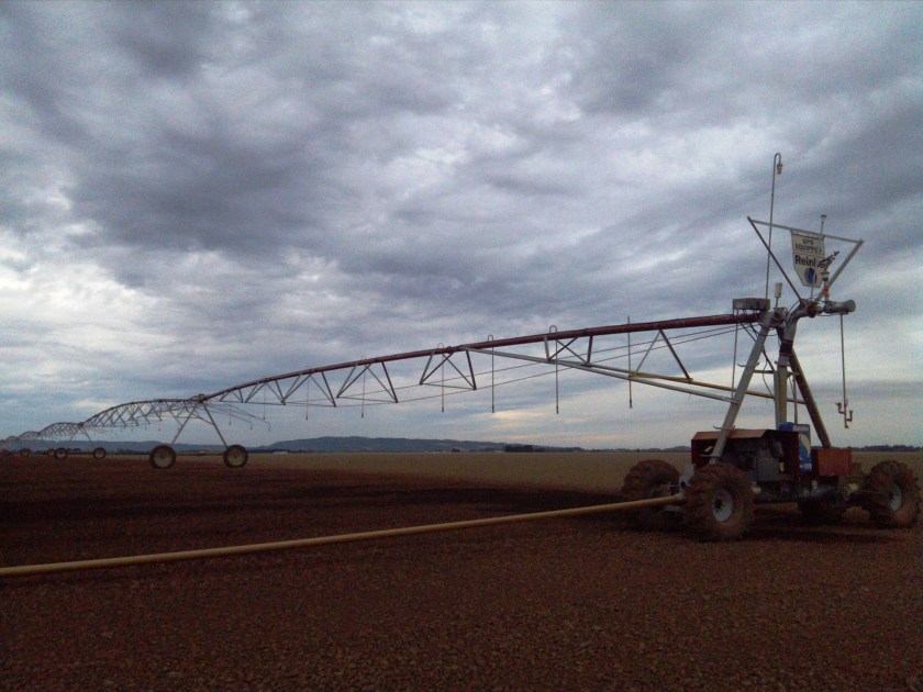 2013-08-14_19-13-34_156