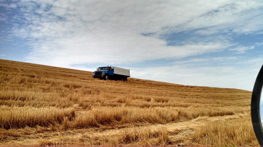 598765_10201470068100802_461116983_n