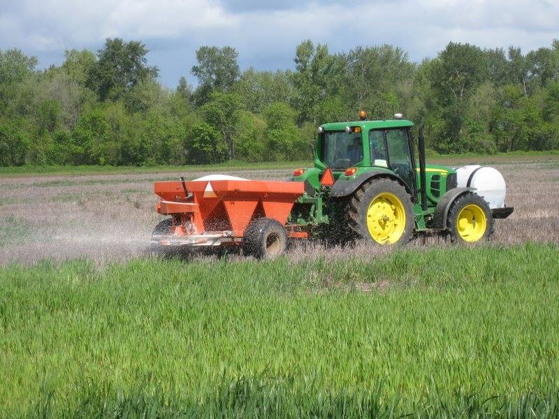 992828_510974472309851_883170309_n