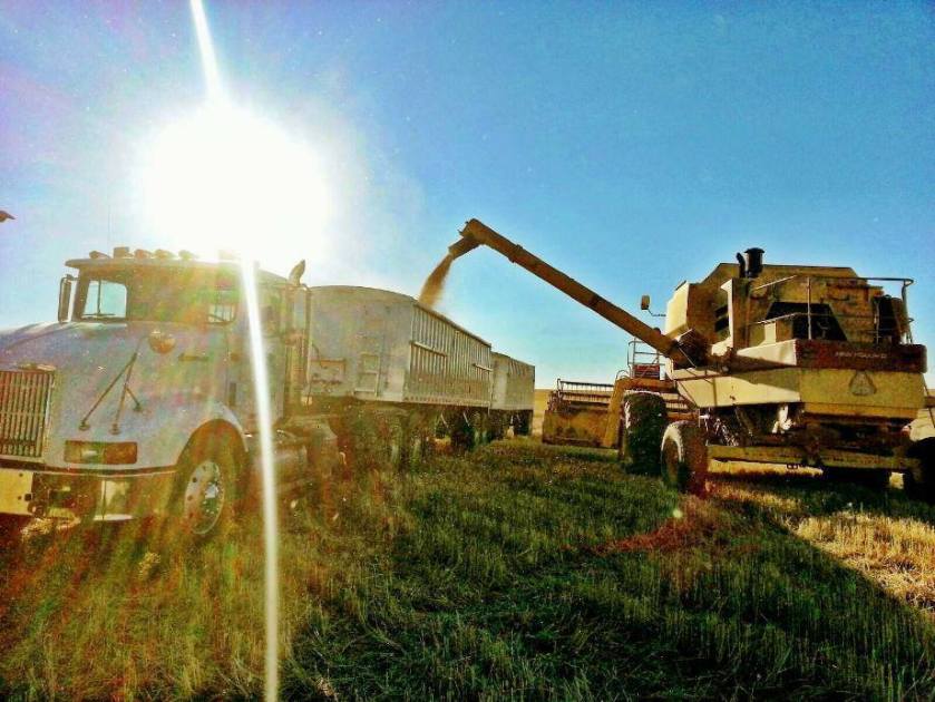 995431_10200352379361835_379917259_n