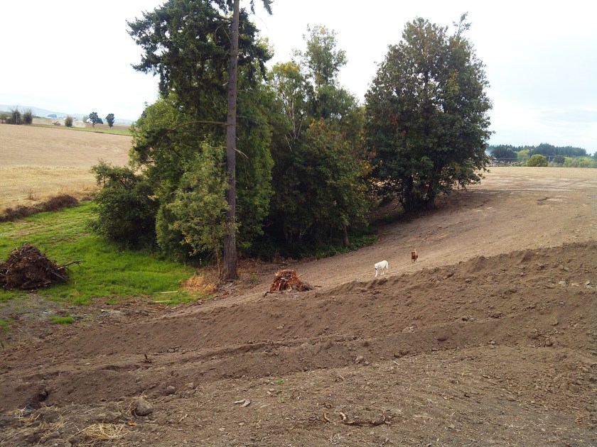 2013-08-28_18-07-53_963