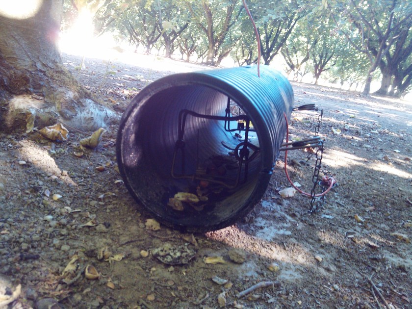 2013-08-31_09-43-46_265