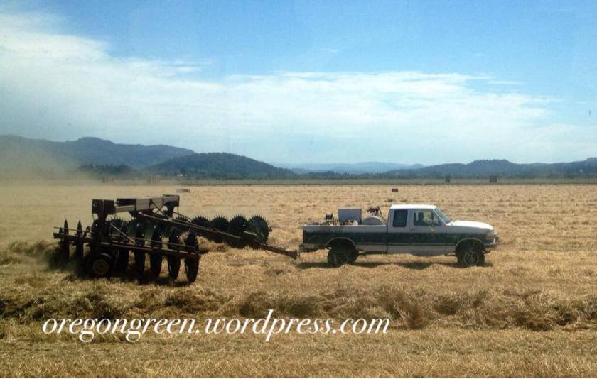 521642_500355160044421_2095358135_n