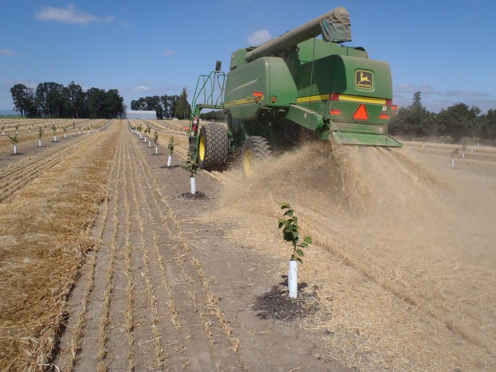 45421_632730056839_3300153_n