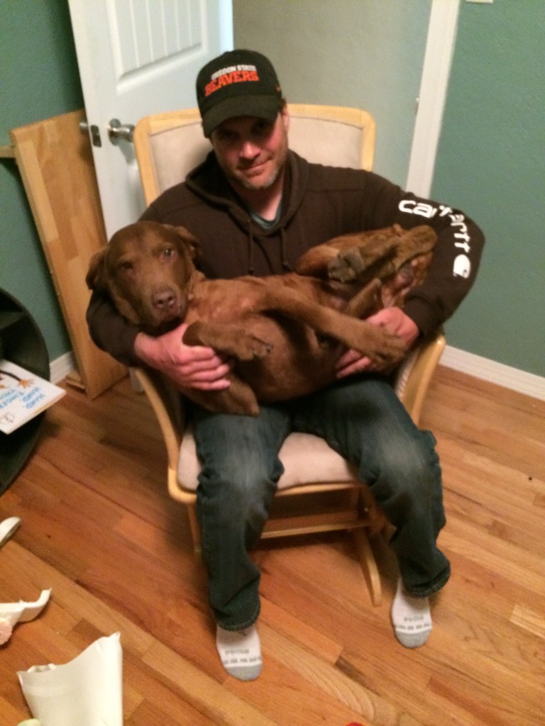 Dog in rocking chair
