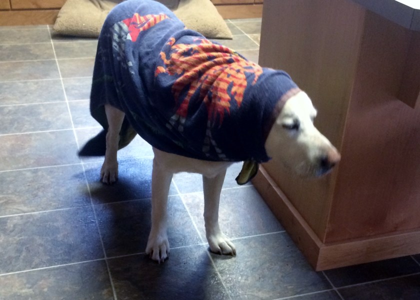 Yukon ready for the Rain