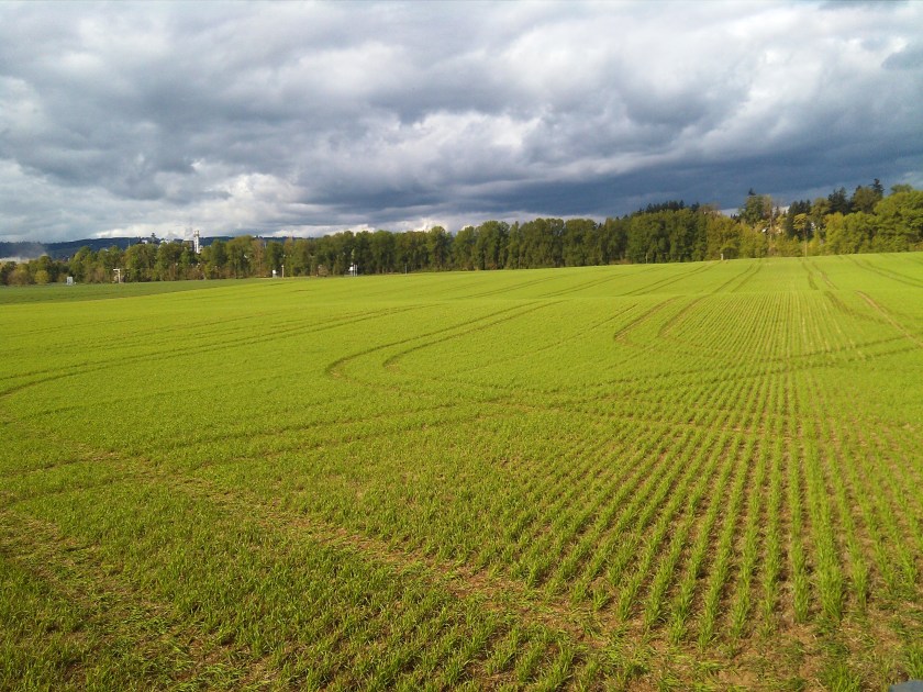 2013-04-11_17-02-11_431