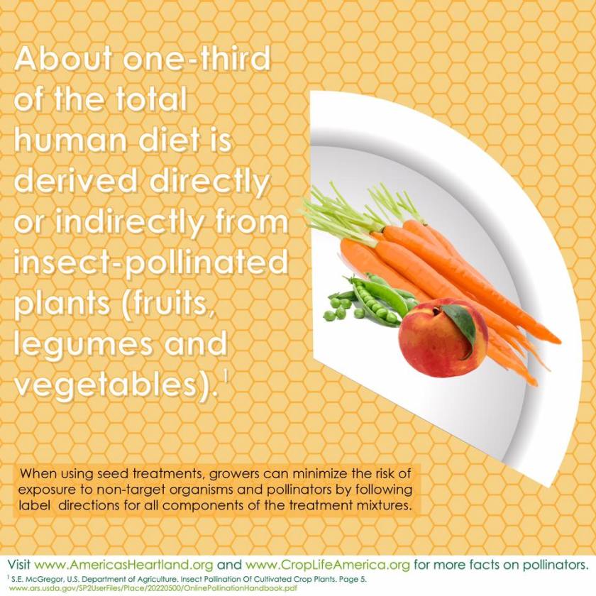 13241276_1264139466947578_7485357825666441153_n