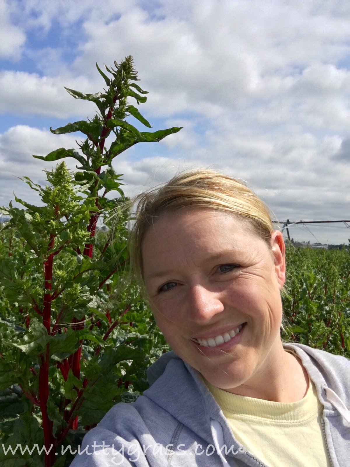 Photo Friday, Swiss&nbsp;Chard
