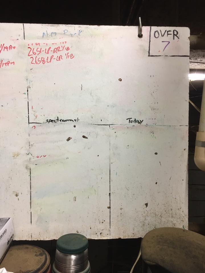 16002924_1253058034741848_1094932578939830172_n