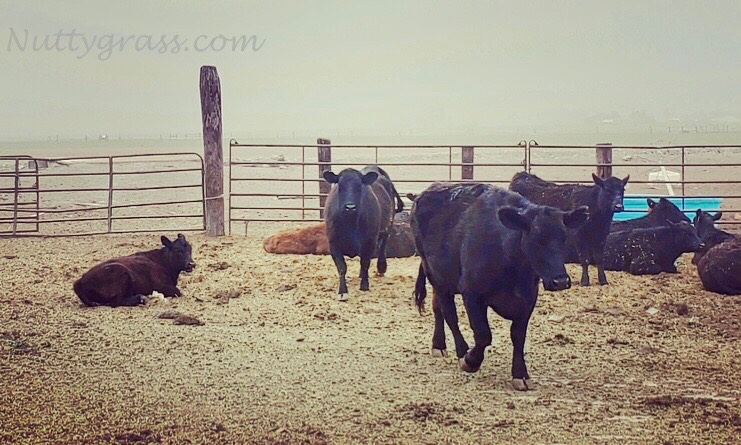 Water is for Fighting, Part 1,&nbsp;Background