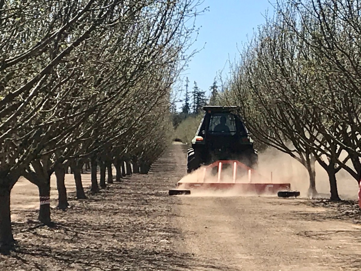 Spring Orchard Preparation