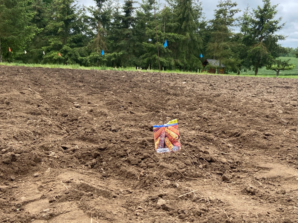 Newest Crop on the&nbsp;Farm