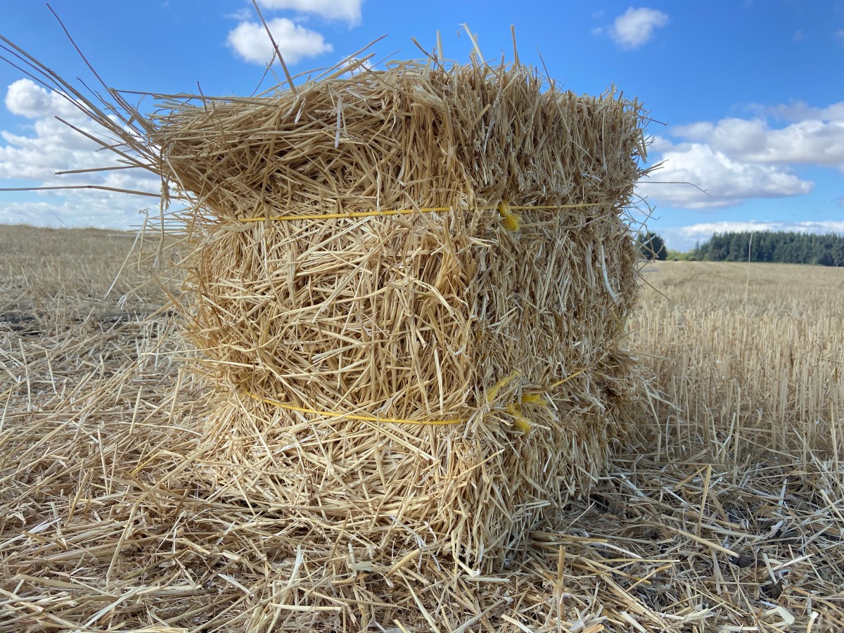 Porch Bale Project; The Kids have Bales for&nbsp;Sale!