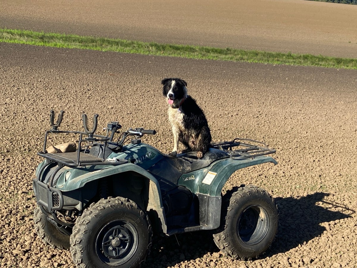 In Between the Last Crop & the&nbsp;Next