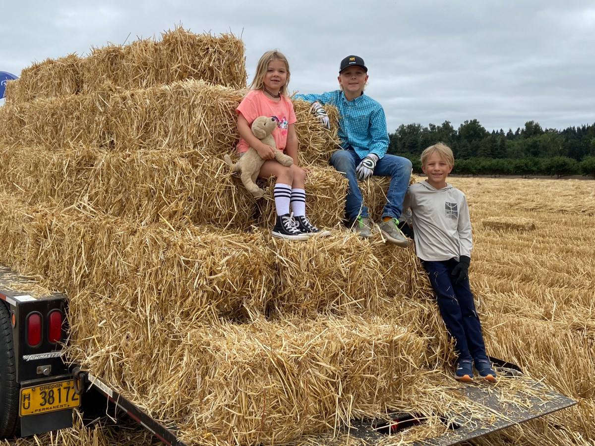 Mini Bale Project&nbsp;2024