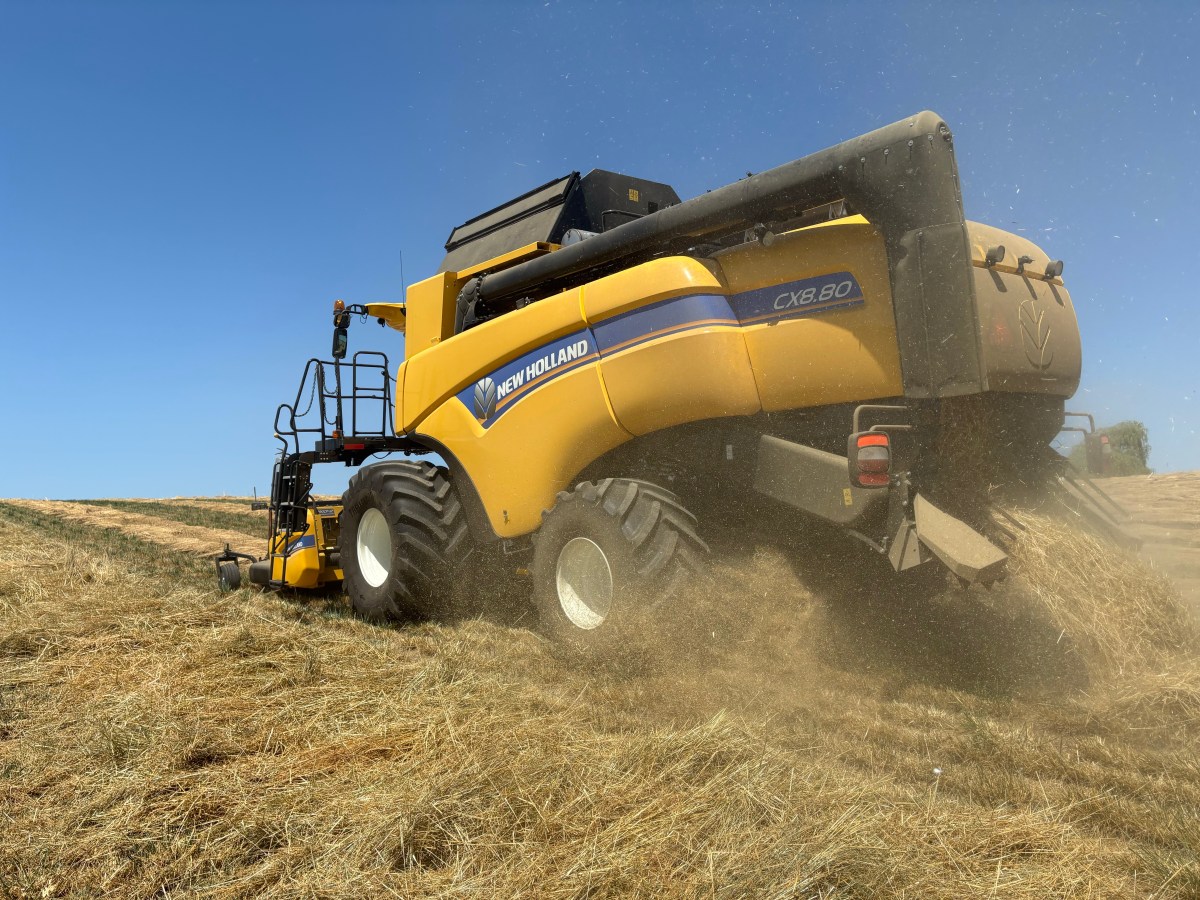 Harvest harvest harvest